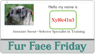 Illustration for article titled New Snout Selectors!